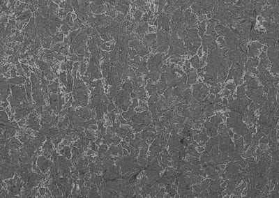 Coastal Grey Quartz Polished